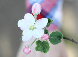 May-on-my-hand-mini-polar-me-now