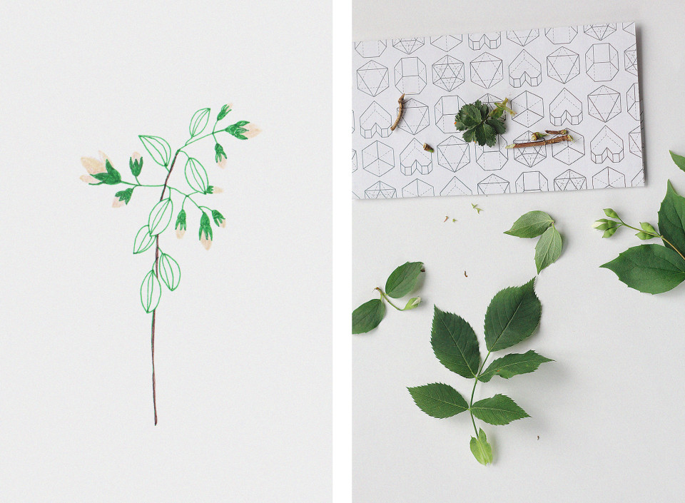Briar-and-jasmine-polar-me-now-72_2
