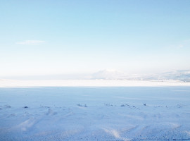 POLAR ME NOW