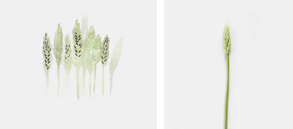 magic-forest-polar-me-now_72