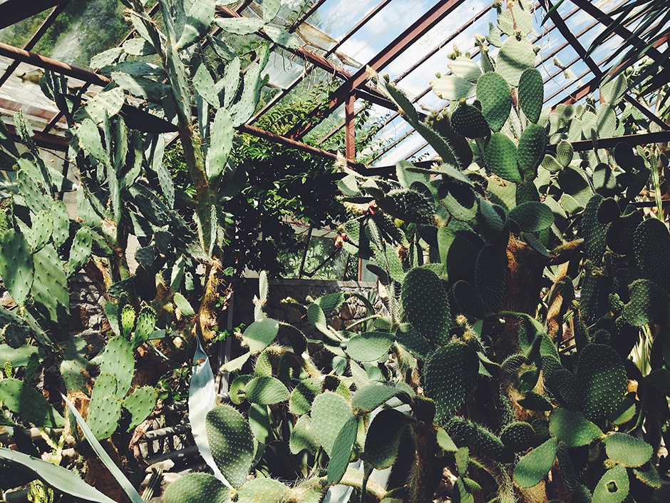 botanic garden. polar me now.