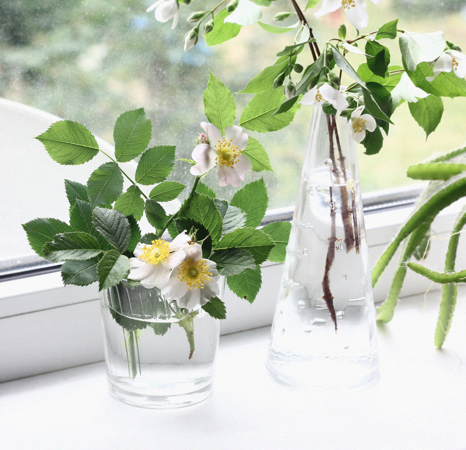 Briar-and-jasmine-polar-me-now-5